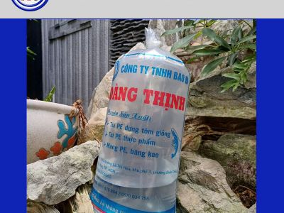 Cách buộc túi PE đựng tôm giống, cá giống không bị rò rỉ nước