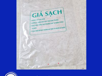 Giá bán Túi PE tại nhà máy sản xuất bao bì chất lượng